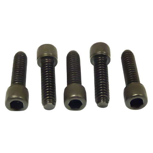 RIDGID 44590 Pack Of 5 Screws