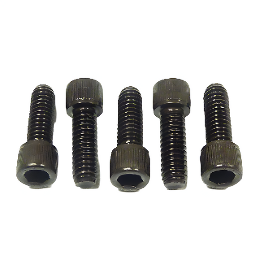 RIDGID 46750 Pack Of 5 Screws