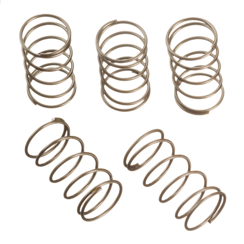 RIDGID 38695 Pack Of 5 Springs COMP.