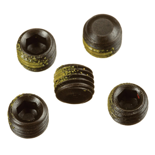 RIDGID 45300R Pack Of 5 Screws